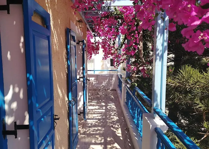 Hotel Zeus Kamári che accetta animali
