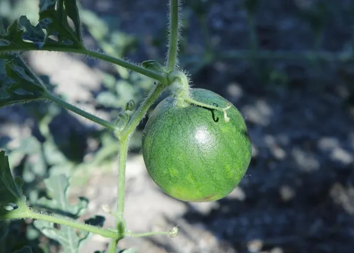 Hotels nahe Church of TImios Stavros