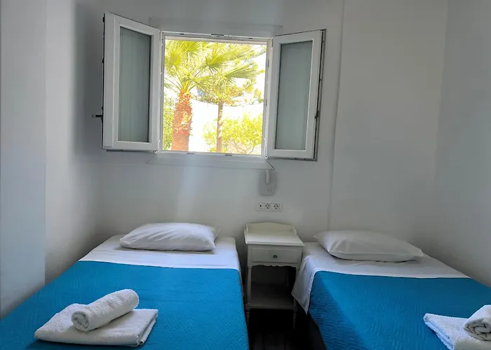 Pet friendly Dimitris Villa Kamari 