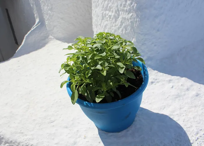 Villa Santoimage House Ia